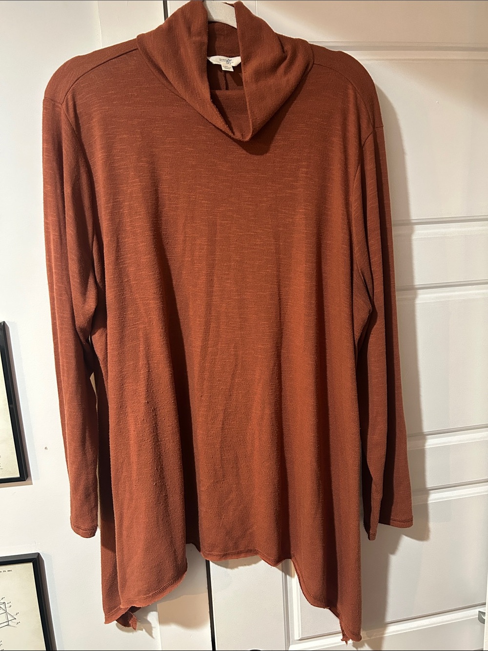 Terra & Sky Rust Brown Cowl Neck Tunic